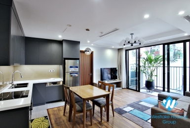 Brand new modern two bedroom apartment for rent on Tu Hoa 